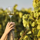 Frischer Genuss aus Portugal: Vinho Verde - Leicht, fruchtig und erfrischend! Santa Christina
