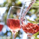 Entdecken Sie den Charme des Muskat-Trollinger Rosé: Ein vollmundiges Weinabenteuer aus Schwaben mit exotischer Note und langanhaltendem Genuss!