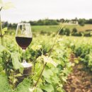P(fand)tastischer Rotweingenuss: Nachhaltig verpackt in Pfandflaschen für einen köstlichen Genuss mit minimaler Umweltauswirkung! Pinotin Galler 2/4 Wein