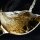 Der Feodora von Galler Piwi-Perfektion im Glas - Exotischer Genuss in jeder Flasche! Sauvignac trocken